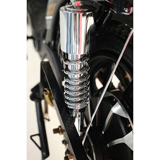 Suspensie completă spate RDB Dunărea