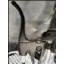 Manetă frână dreapta/stânga RDB Mila 23