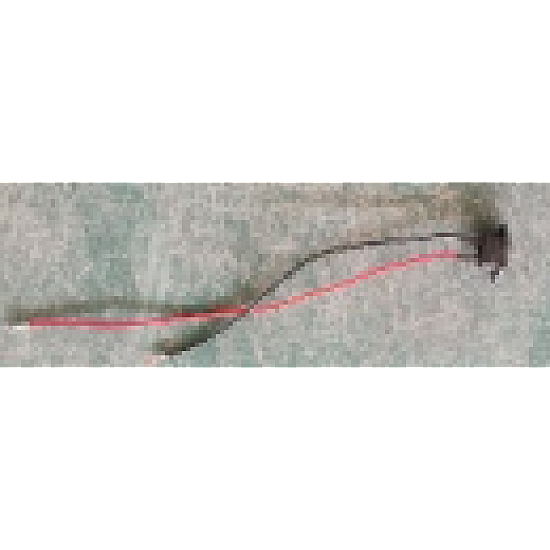 Mufa alimentara Sulina