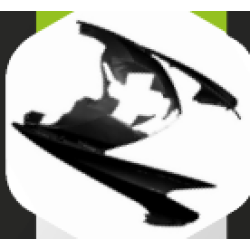 MASCA PRINCIPALA FATA VSX