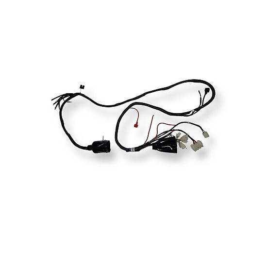 Cablu electric principal RDB C-Klass 2