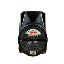 Boxa Portabila RTS-12 Boxa Portabila RTS-12